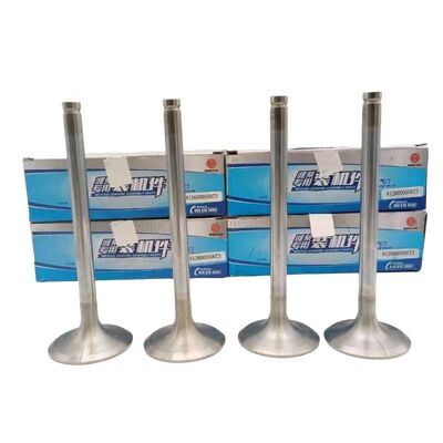 Weichai WP10 Truck Diesel Engine Parts 612600050073 Air Intake Valve