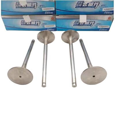 Weichai WP10 Truck Diesel Engine Parts 612600050073 Air Intake Valve