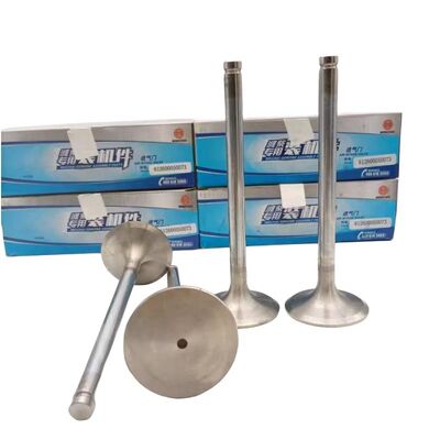 Weichai WP10 Truck Diesel Engine Parts 612600050073 Air Intake Valve